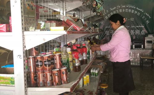 申城先锋 房子盖了工作便利了——上海援疆干部助当地脱贫致富的“票务代理服务”模式